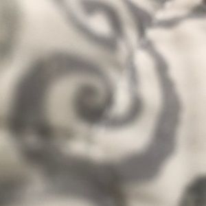 Meet your Posher, Ariana